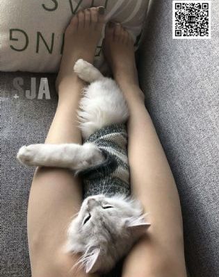 精品人妻丰满激情无码系列_日本电影在线